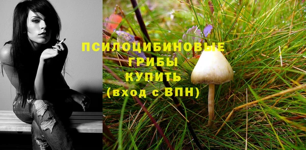 мяу мяу кристалл Осинники