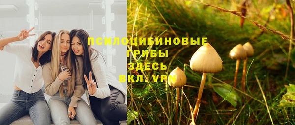 мяу мяу кристалл Осинники
