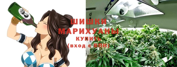ALPHA PVP Остров