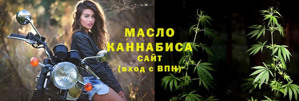 молекула духа Переславль-Залесский