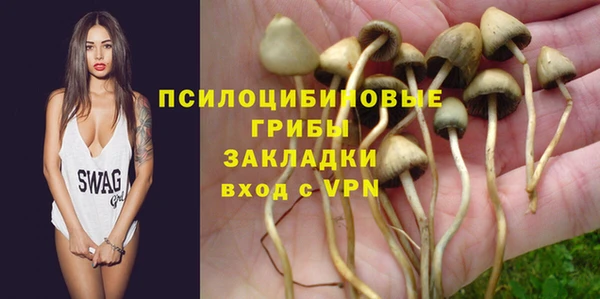 бошки Осташков