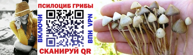 купить  цена  Серов  кракен как зайти  Псилоцибиновые грибы Cubensis 
