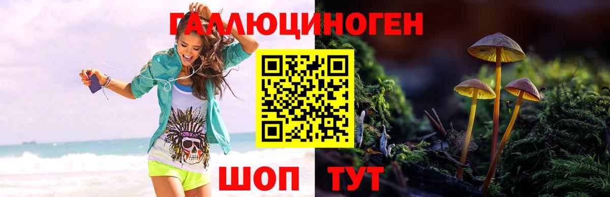 Галлюциногенные грибы Psilocybe Серов
